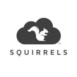 AIr Squirrels Logo